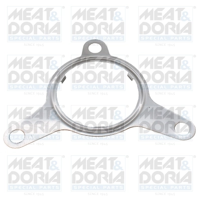 Gasket, EGR valve